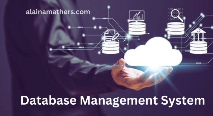 Database Management System